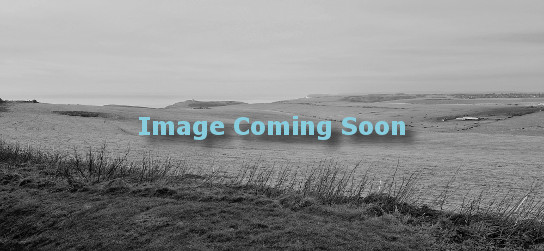 Image Coming Soon