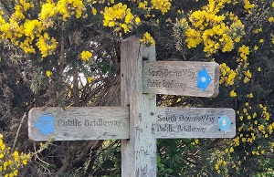 South Downs Way Signpost